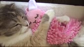 14565850823741.webm