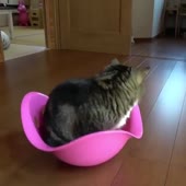 16071808026720.mp4