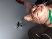 20200805143751.jpg