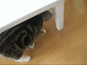 16140903150730.webm