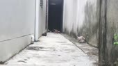 16137216091760.mp4