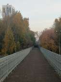 IMG20201003055644.jpg