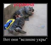 post-3-0-48151700-1465115072.jpg