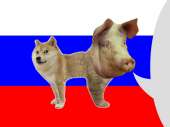 06AE69F7-358F-429B-8C7D-C8534D66CFEC.png