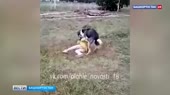 1524187203780.webm