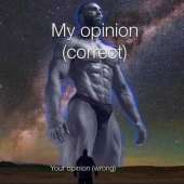 my opinion and your opinion.jpg