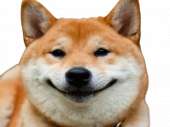 d428c4aa468376e3c0c4790998e36620-removebg-preview.png