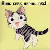 1273013901734.jpg