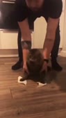 16268745780200.mp4
