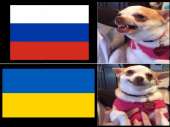 O1odIhiTXA.jpg