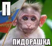 15944554884170.png