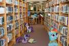 poniesinalibrarybybryal-d4p7uif.png