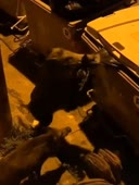 video2021-11-1306-31-22.mp4