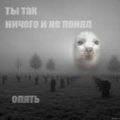 16327616474010.jpg