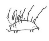 180px-EpicHedgehog.jpg