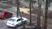 прикатывайся.webm