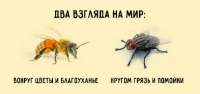 4c1204631c9216e5dc6e45457d398606.jpg