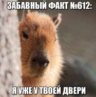 17498832468302.jpg