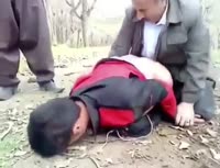 пдреб-dvachpo-b-233260462.mp4