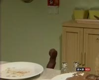 15667986735510.webm