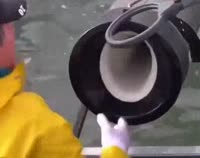 15855290940060.webm