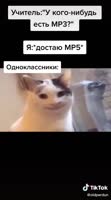 15874508906912.mp4
