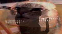 котохлеб.mp4