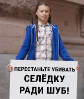 Мемы-про-Грету-Тунберг-12.jpg