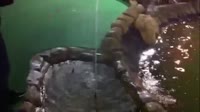 драпет.webm