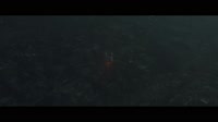 16407144263371.webm