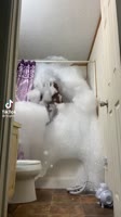 16466822735831.mp4
