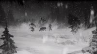 16573952812680.webm