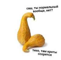 16647033653522.png