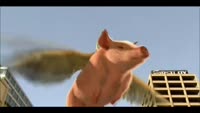 15928534577520.webm