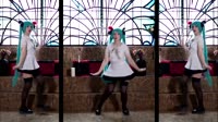 15284683569536.webm