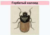 1738821433686536.jpeg