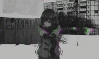 17502315504572.webm