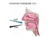 Поведение OPа.jpg