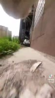 17155264765040.mp4
