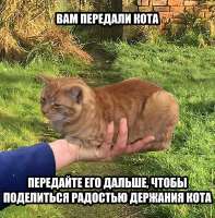 49389063б90.jpg