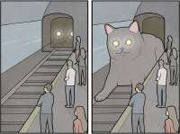 3749390793.jpg
