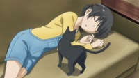 14278792.webm