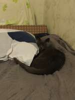 IMG20250623005439.jpg