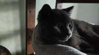 IMG-20250623-WA0025.jpeg