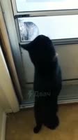 17497597405440.mp4