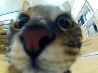 1741437970678.gif