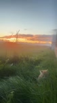 17500981811520.mp4