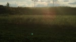 17500994296770.mp4