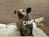 4107331.jpeg