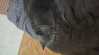 IMG-20250628-WA0010.jpeg
